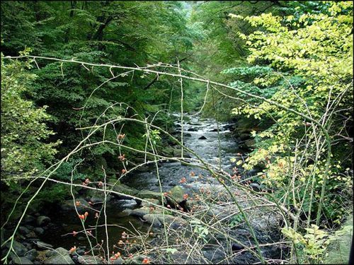 Bode River, near Thale, Harz Mountains