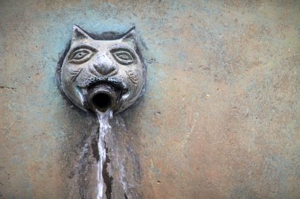 Cat Fountain, Goslar Markt, Harz