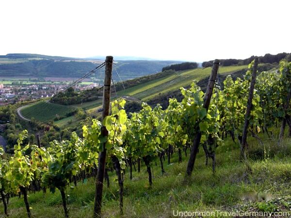 Vineyards outside of Hammelburg