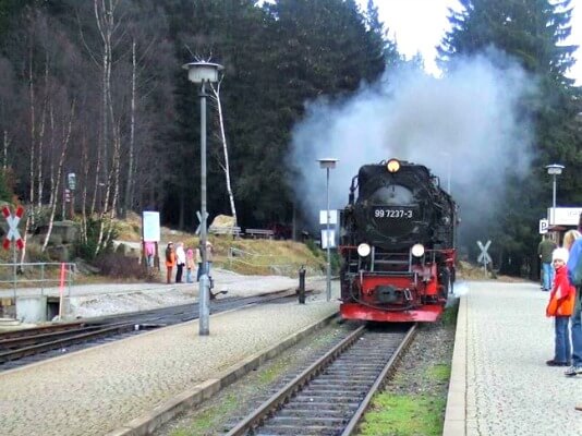 Steam train arriving at Schierke Station, Harz Mountains, Germany
