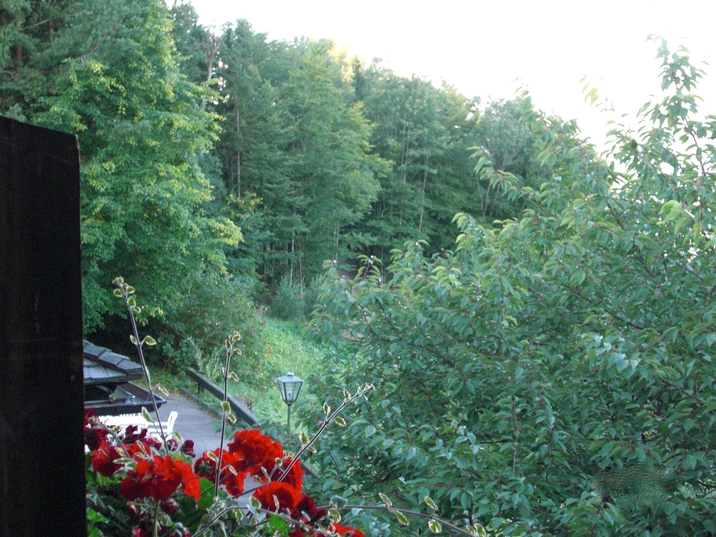 View towards Hitler's Berghof from Hotel zum Turken, Obersalzberg